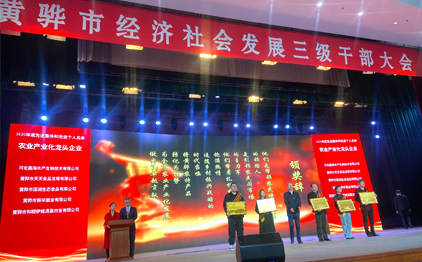 一園芬芳，十分春色